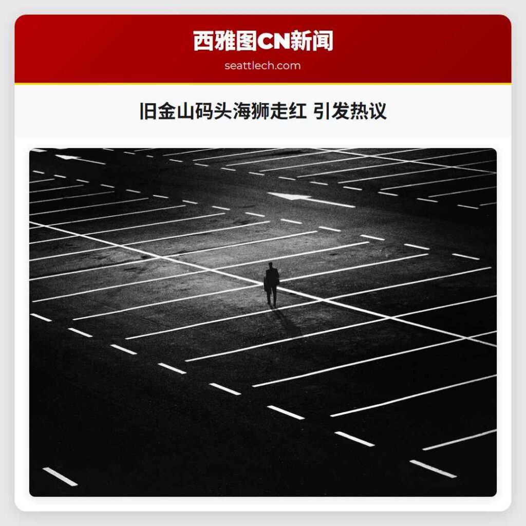 旧金山码头海狮走红 引发热议