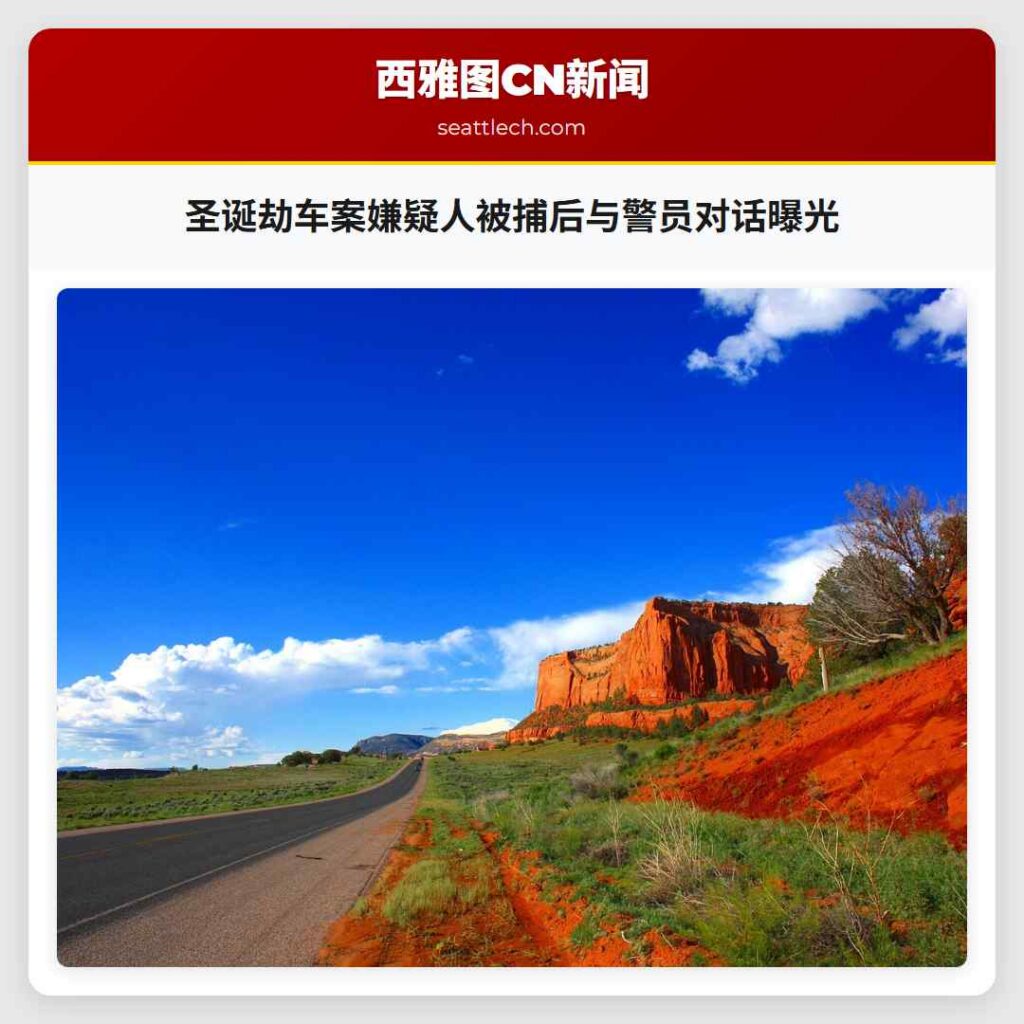 圣诞劫车案嫌疑人被捕后与警员对话曝光
