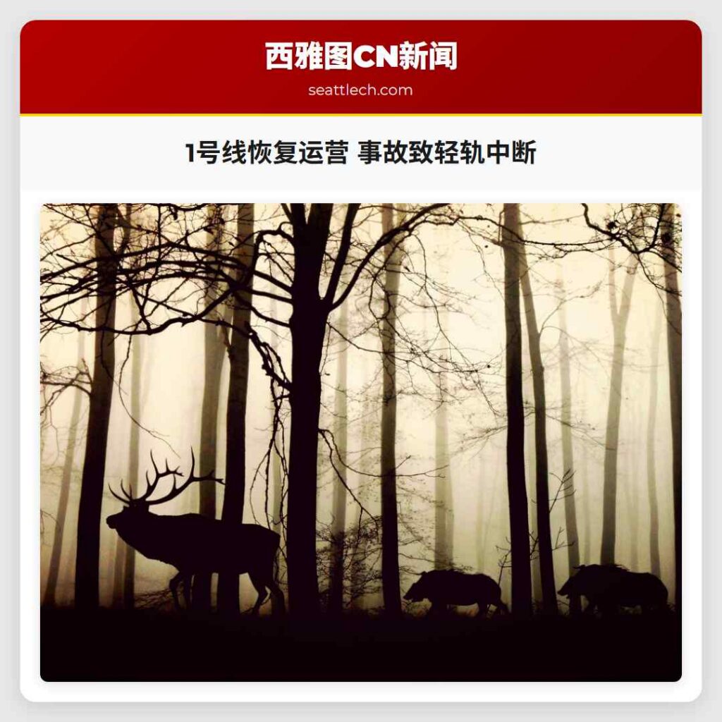1号线恢复运营 事故致轻轨中断