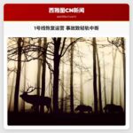 1号线恢复运营 事故致轻轨中断