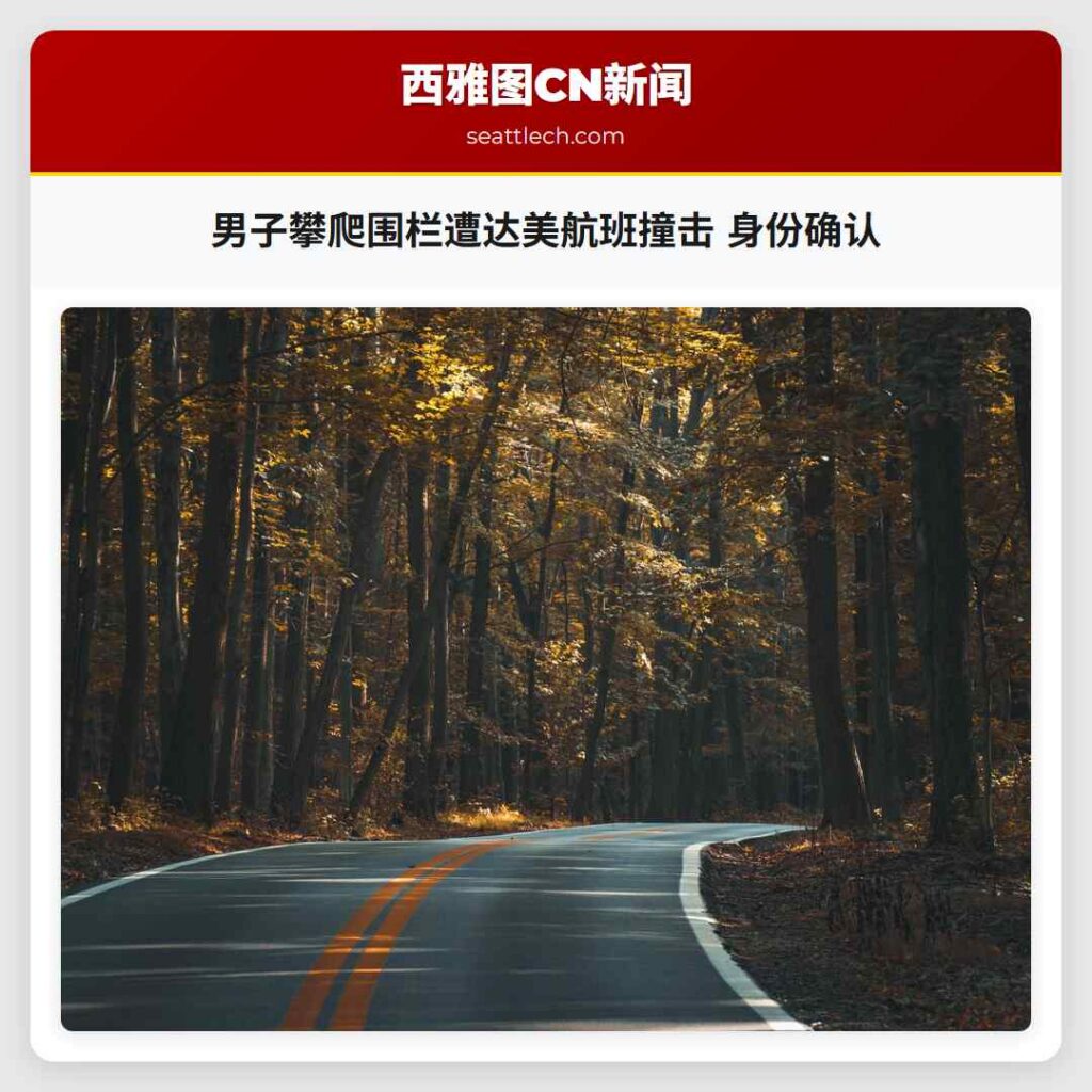 男子攀爬围栏遭达美航班撞击 身份确认