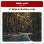 男子攀爬围栏遭达美航班撞击 身份确认