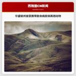 华盛顿州查获携带致命病原体两栖动物