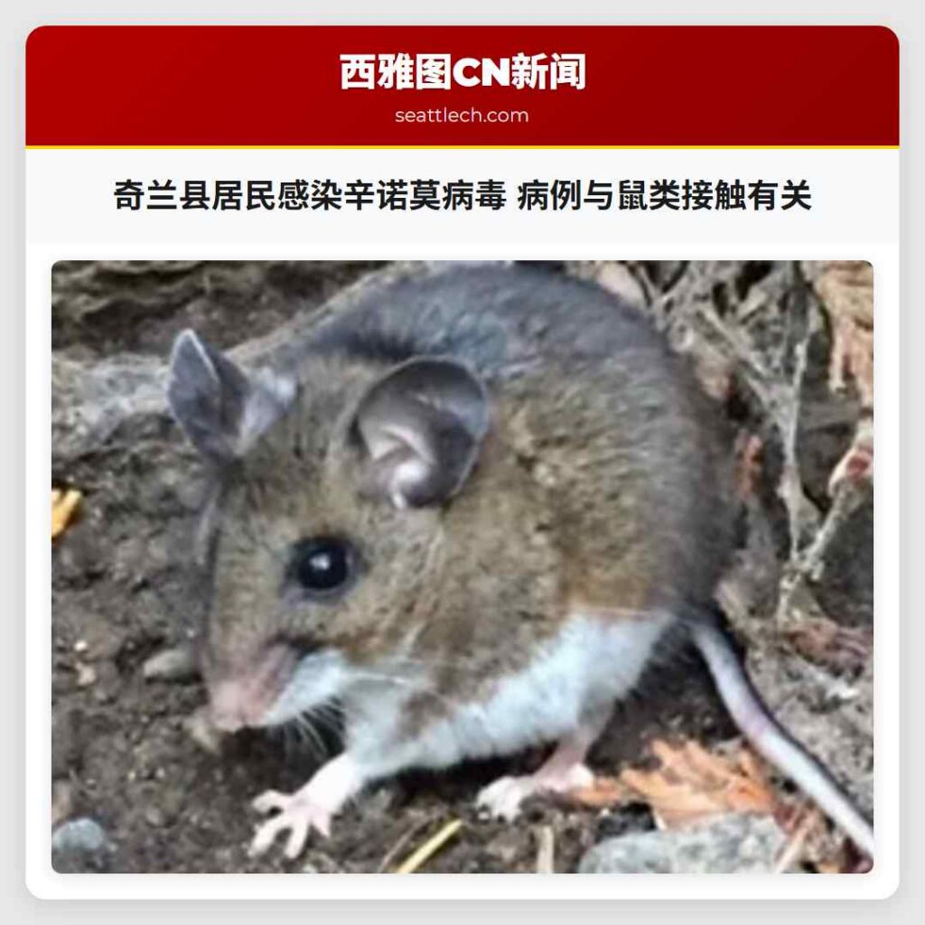 奇兰县居民感染辛诺莫病毒 病例与鼠类接触有关