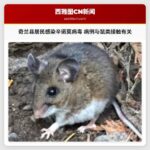 奇兰县居民感染辛诺莫病毒 病例与鼠类接触有关