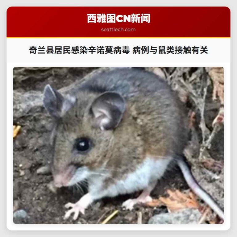 奇兰县居民感染辛诺莫病毒 病例与鼠类接触有关