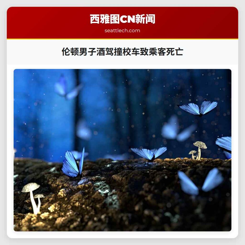 伦顿男子酒驾撞校车致乘客死亡
