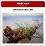 西雅图酒店预订量未达预期