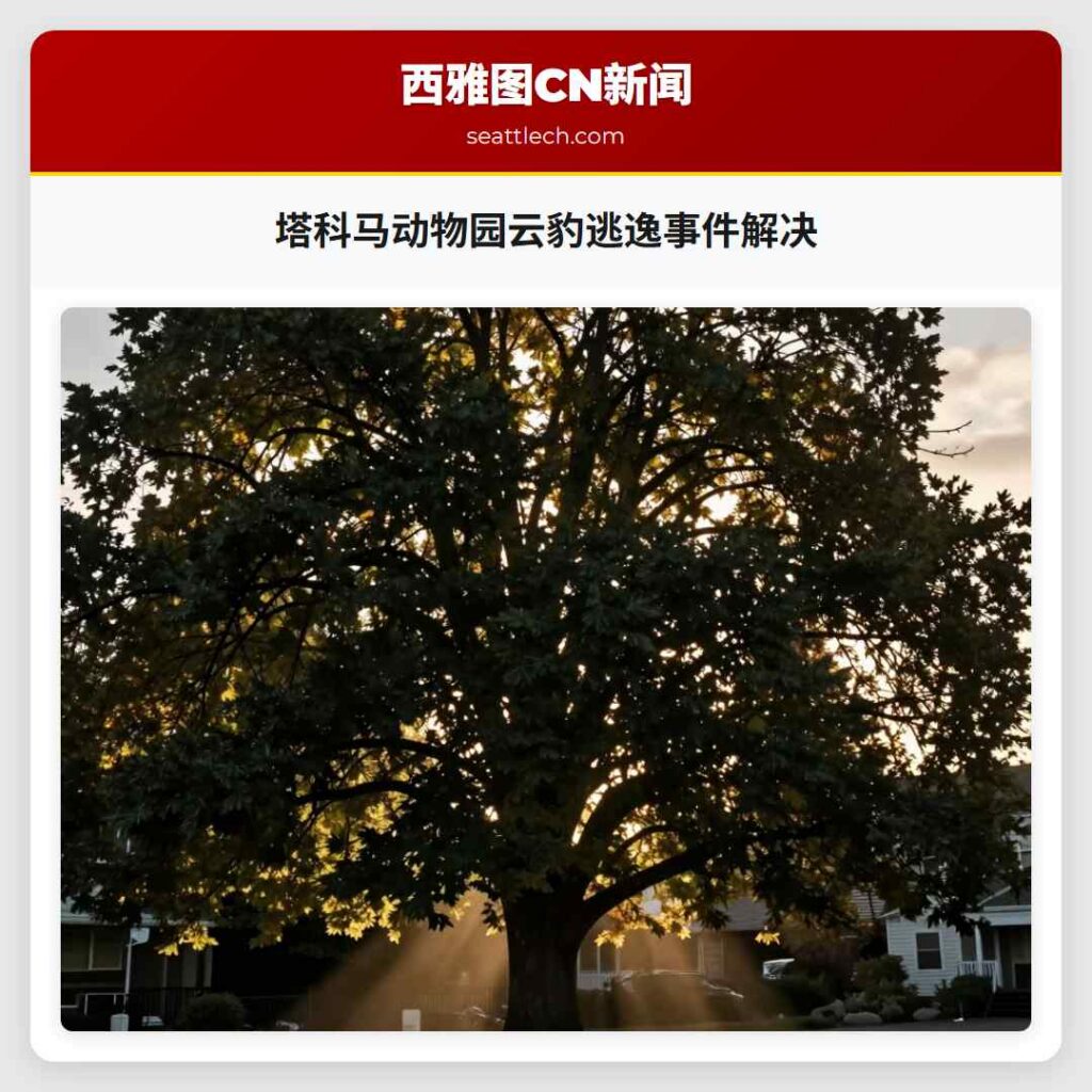 塔科马动物园云豹逃逸事件解决