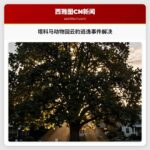 塔科马动物园云豹逃逸事件解决
