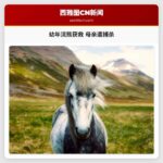 幼年浣熊获救 母亲遭捕杀