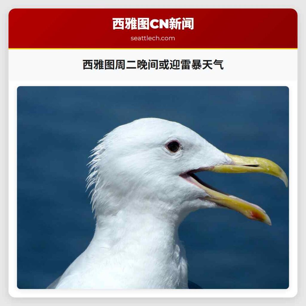 西雅图周二晚间或迎雷暴天气