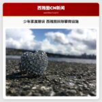 少年家属撤诉 西雅图拆除攀爬设施