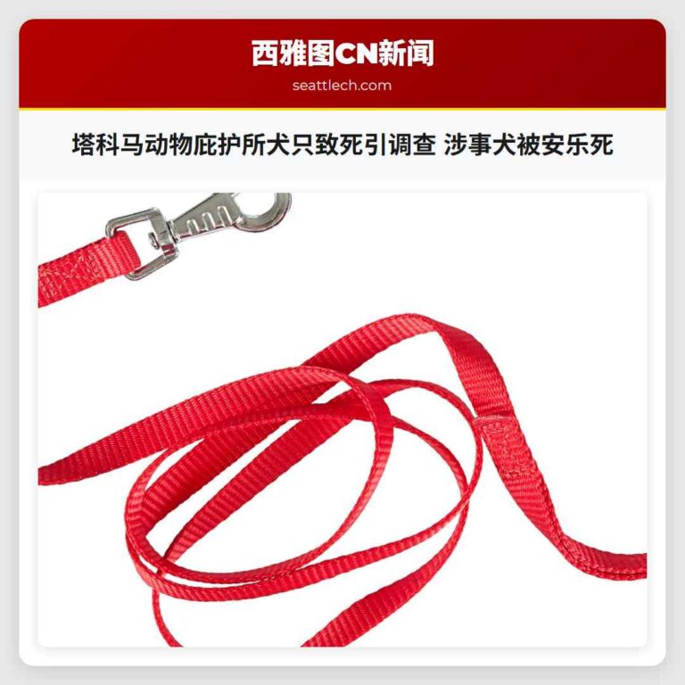 塔科马动物庇护所犬只致死引调查 涉事犬被安乐死