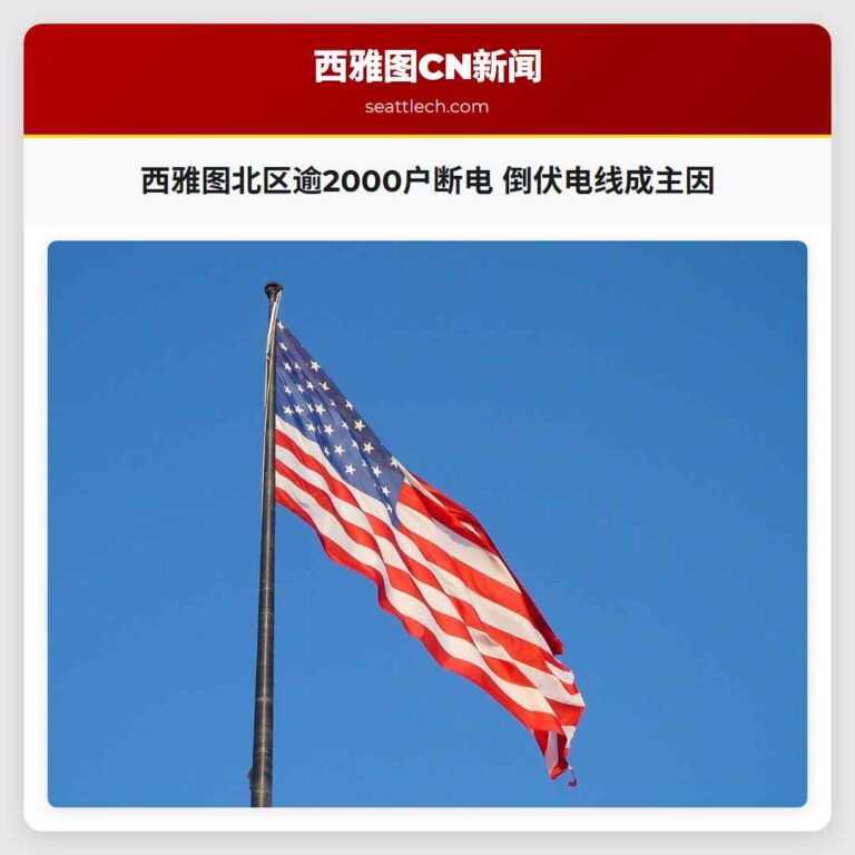 西雅图北区逾2000户断电 倒伏电线成主因