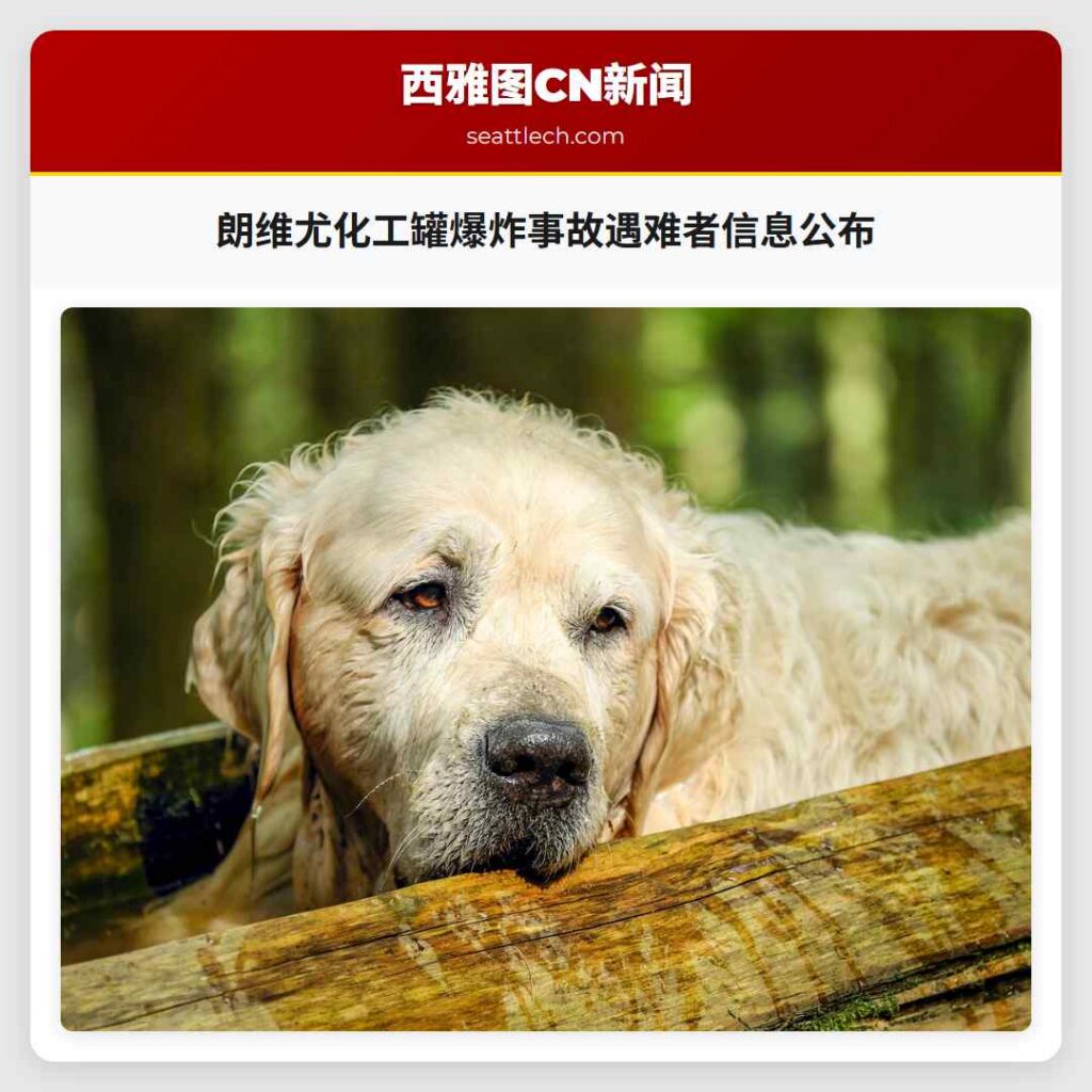 朗维尤化工罐爆炸事故遇难者信息公布