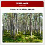 华盛顿大学学生遭刺身亡 嫌犯在逃