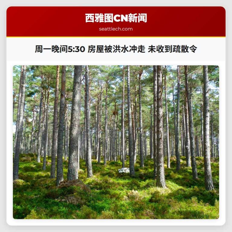 周一晚间530 房屋被洪水冲走 未收到疏散令