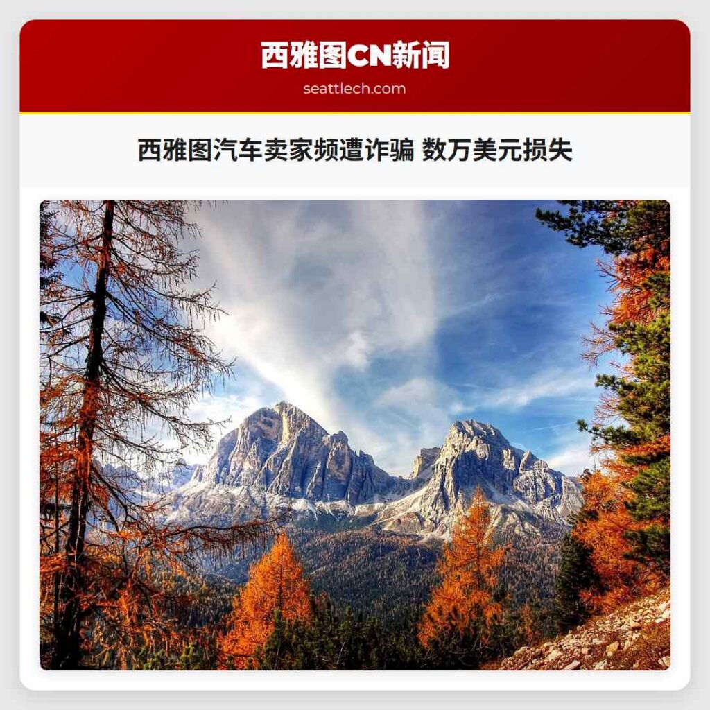 西雅图汽车卖家频遭诈骗 数万美元损失