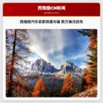 西雅图汽车卖家频遭诈骗 数万美元损失