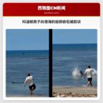 科温顿男子向僧海豹投掷岩石被起诉