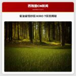 省油省钱妙招 KIRO 7实验揭秘