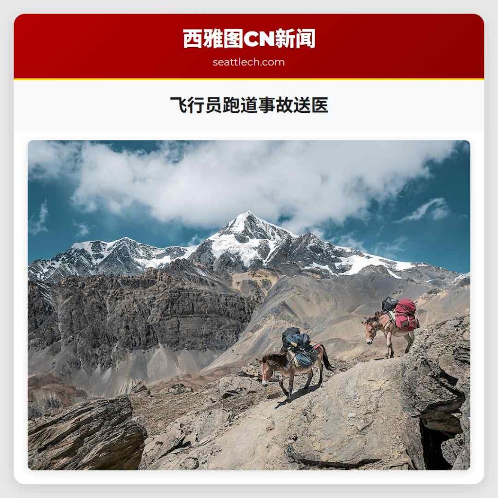 飞行员跑道事故送医