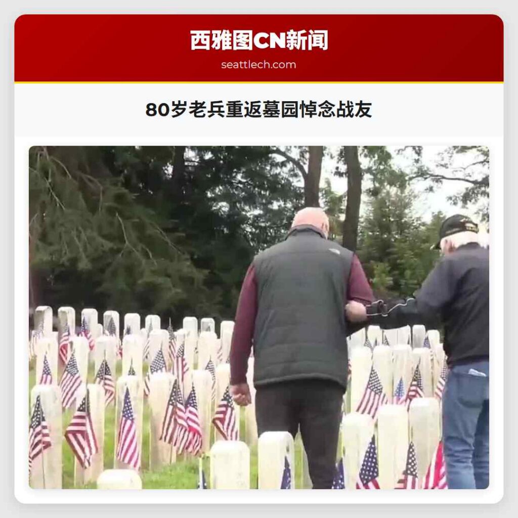 80岁老兵重返墓园悼念战友