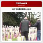 80岁老兵重返墓园悼念战友
