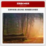 亚洲针蚁侵入西北地区 毒刺或致生命危险