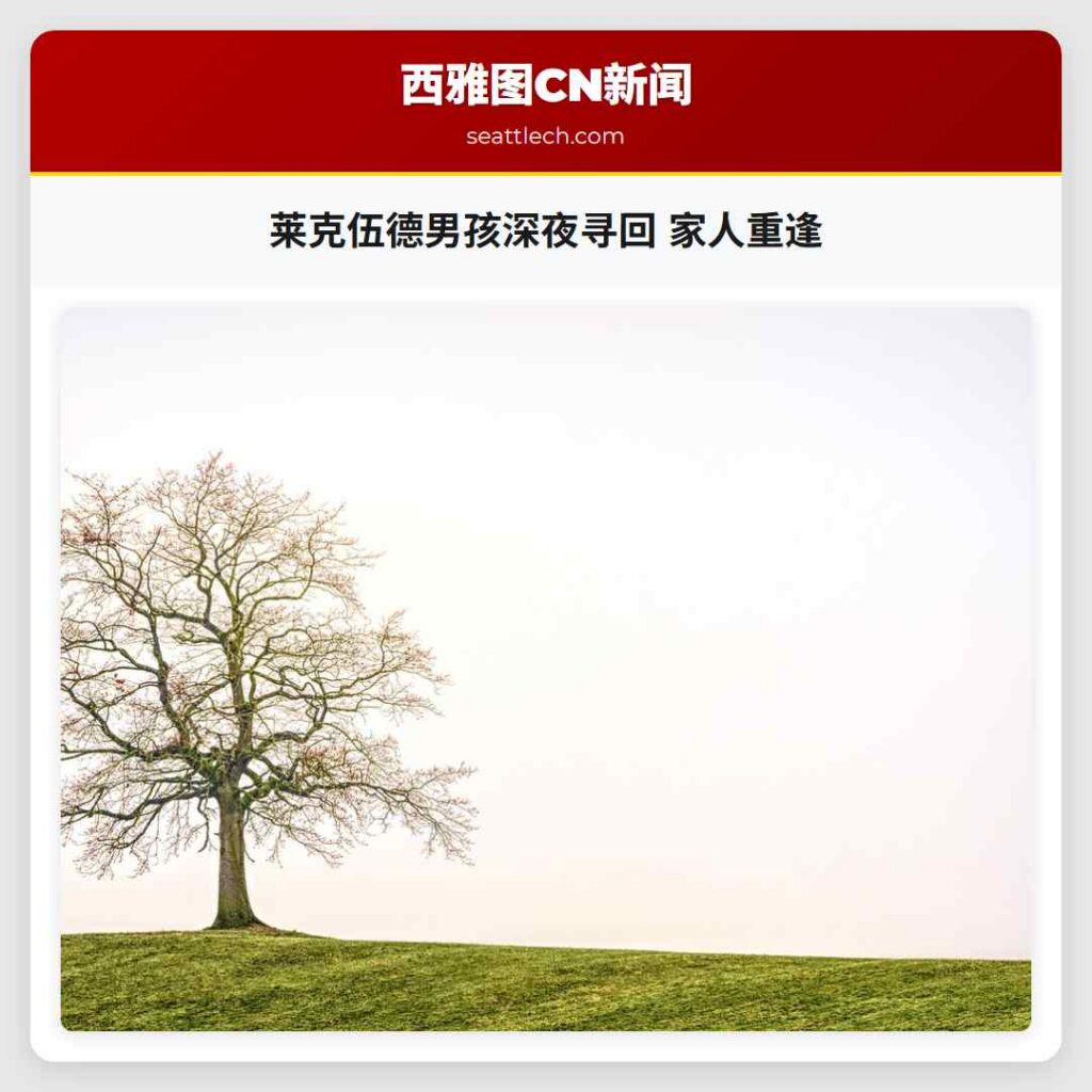 莱克伍德男孩深夜寻回 家人重逢