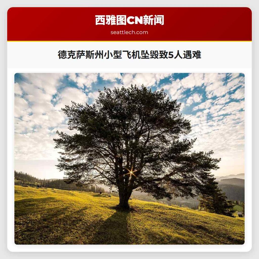 德克萨斯州小型飞机坠毁致5人遇难