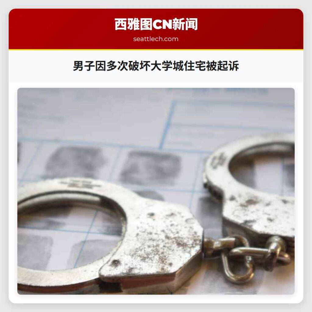 男子因多次破坏大学城住宅被起诉