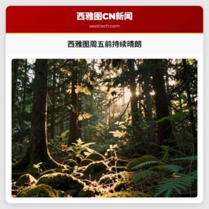 西雅图周五前持续晴朗