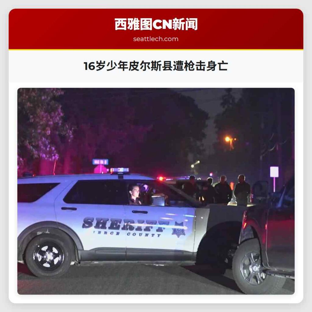 16岁少年皮尔斯县遭枪击身亡