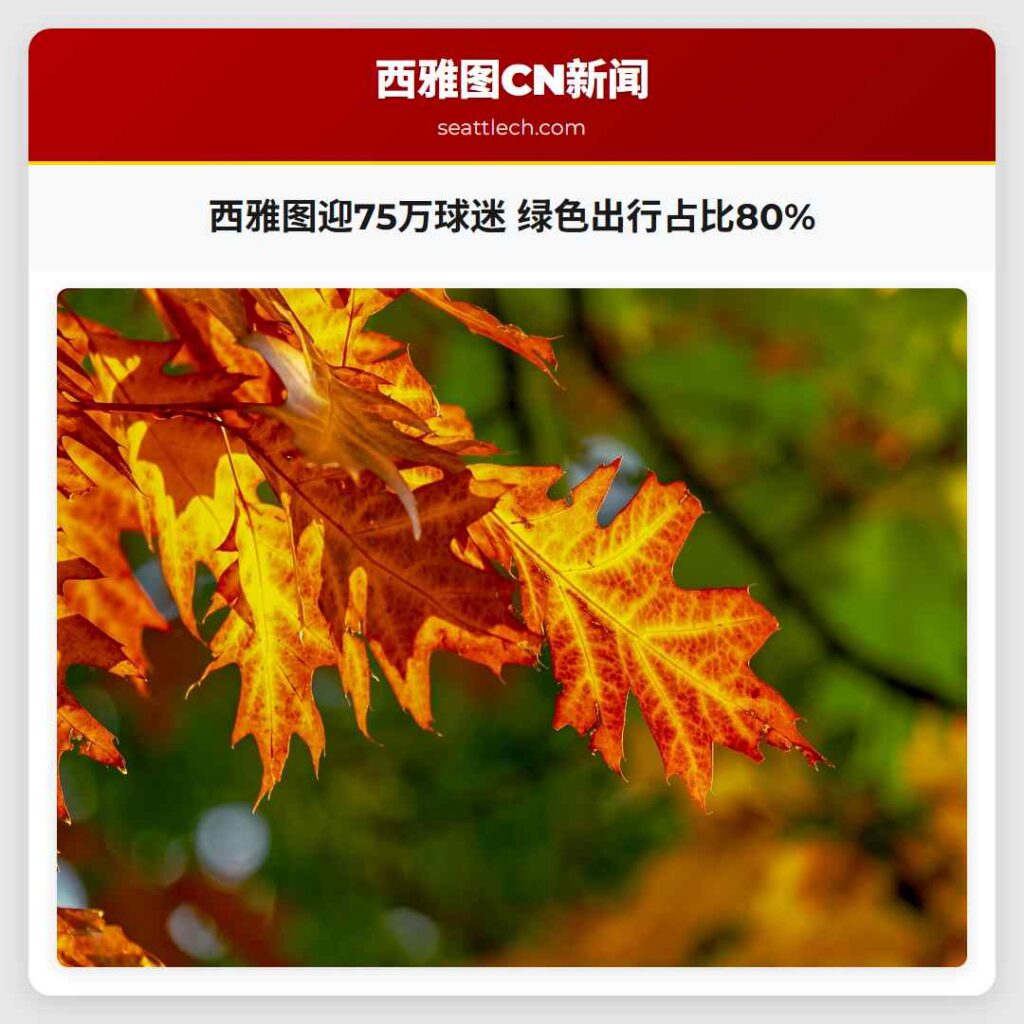 西雅图迎75万球迷 绿色出行占比80%