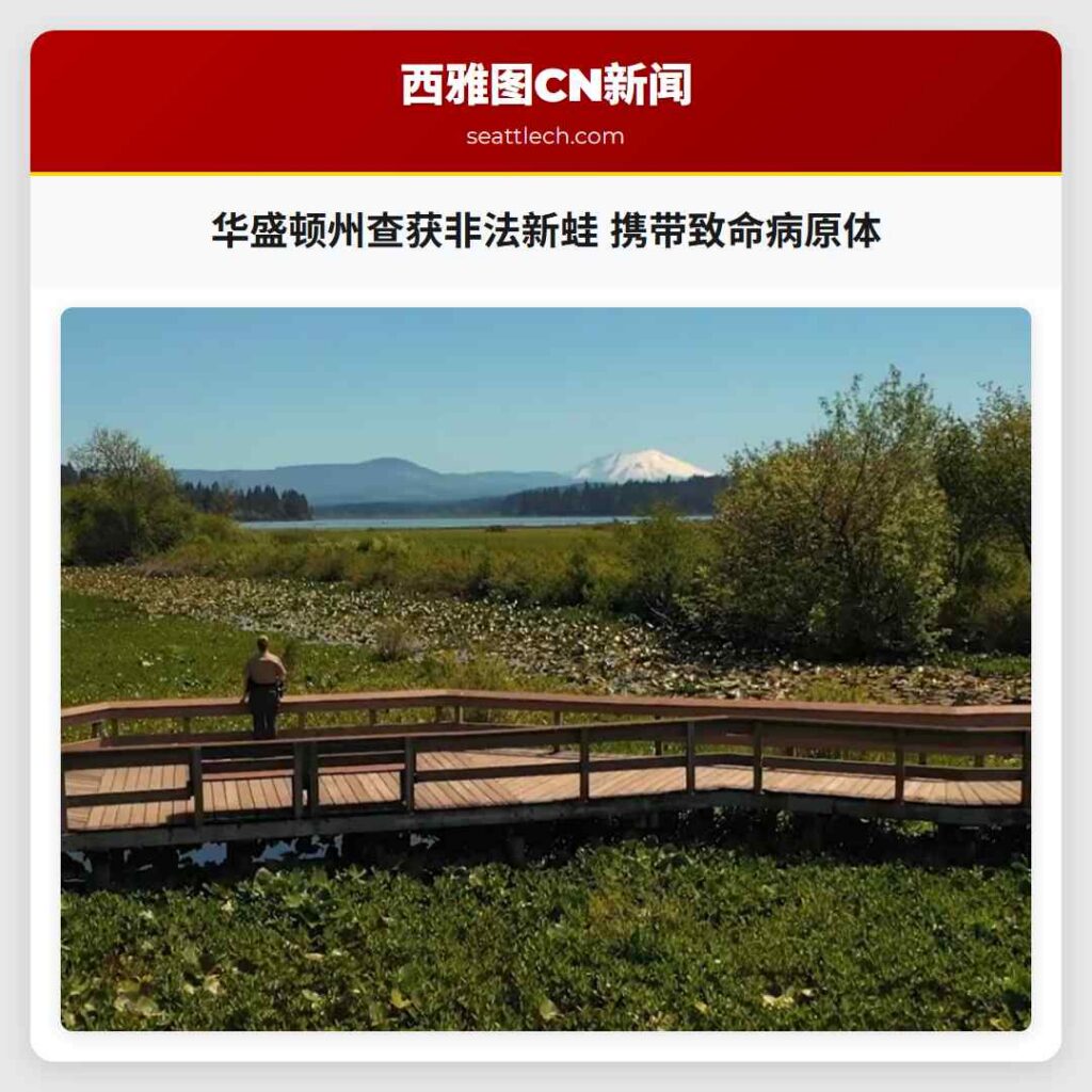 华盛顿州查获非法新蛙 携带致命病原体