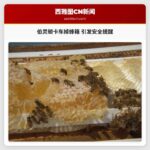 伯灵顿卡车掉蜂箱 引发安全提醒