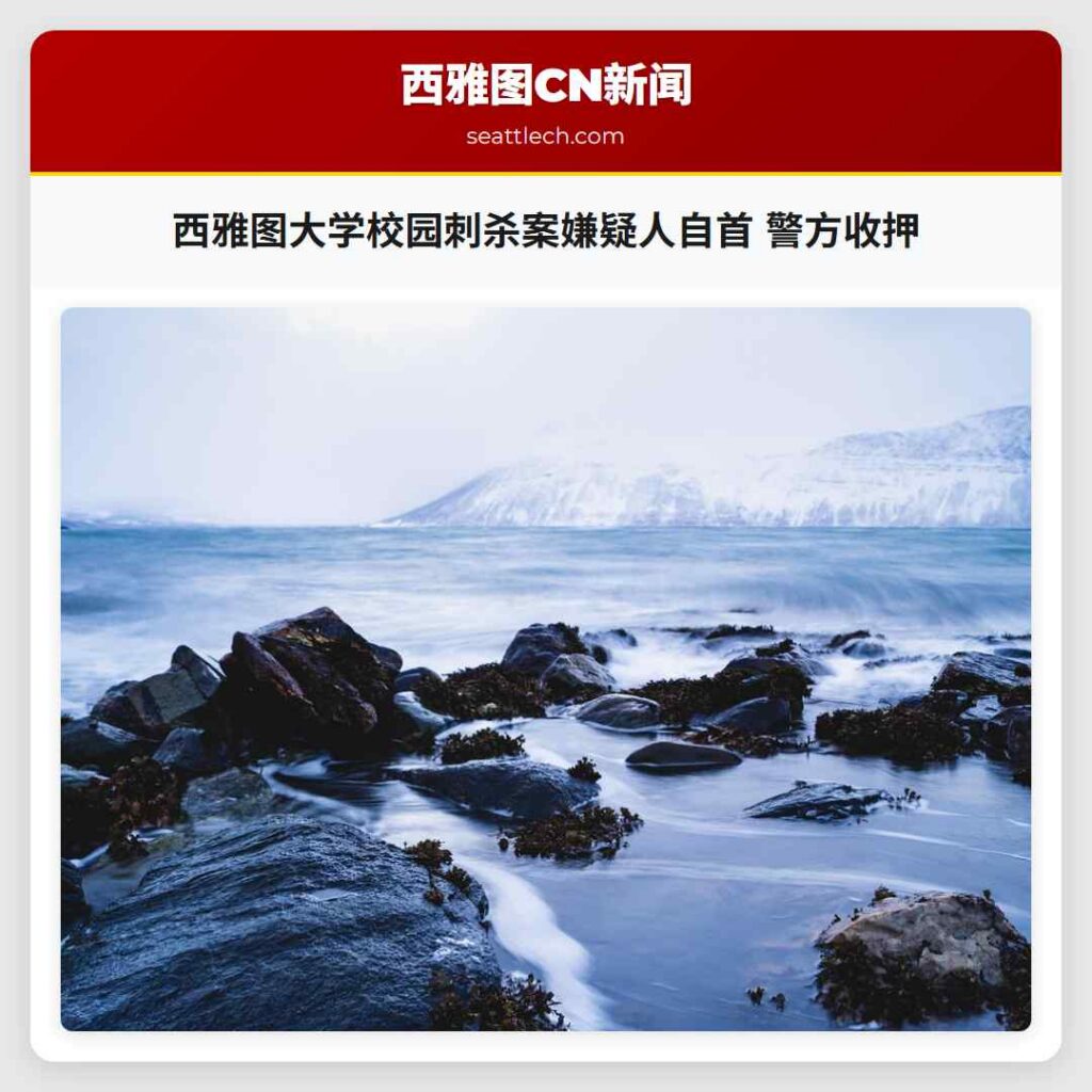 西雅图大学校园刺杀案嫌疑人自首 警方收押