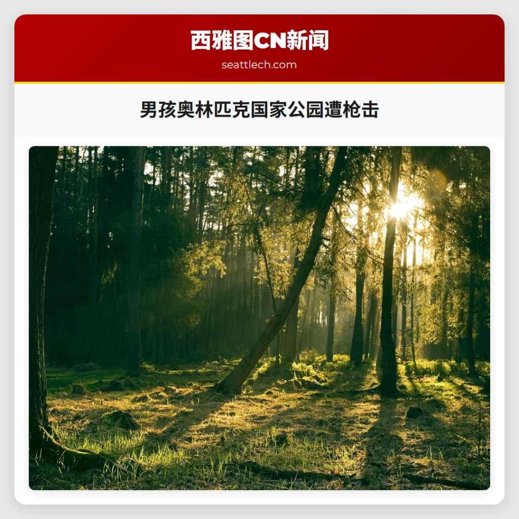 男孩奥林匹克国家公园遭枪击