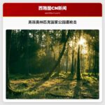 男孩奥林匹克国家公园遭枪击