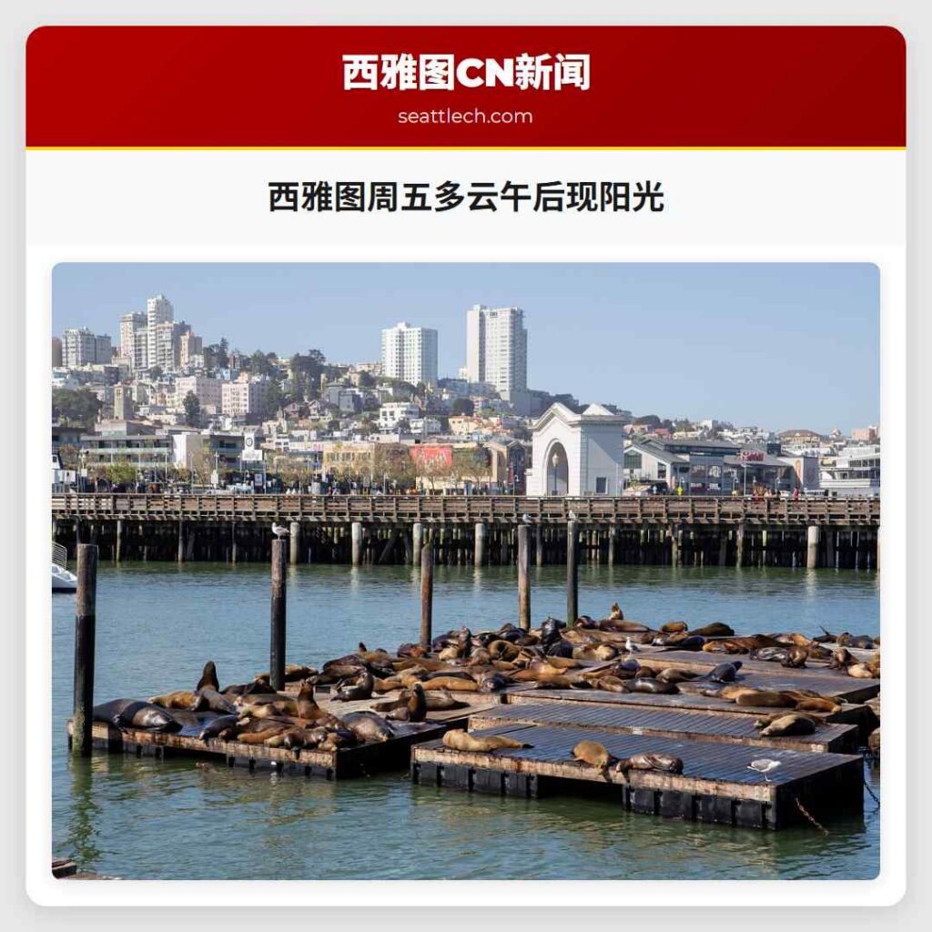 西雅图周五多云午后现阳光