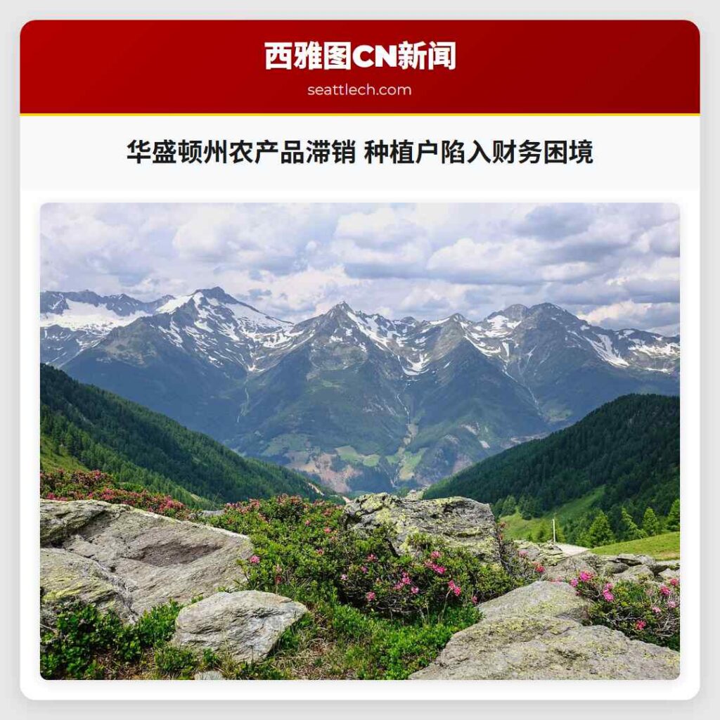 华盛顿州农产品滞销 种植户陷入财务困境