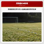 西雅图球员罗尔丹入选美加墨世界杯名单