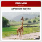 吉尔哈伯男子踢门挑战引热议