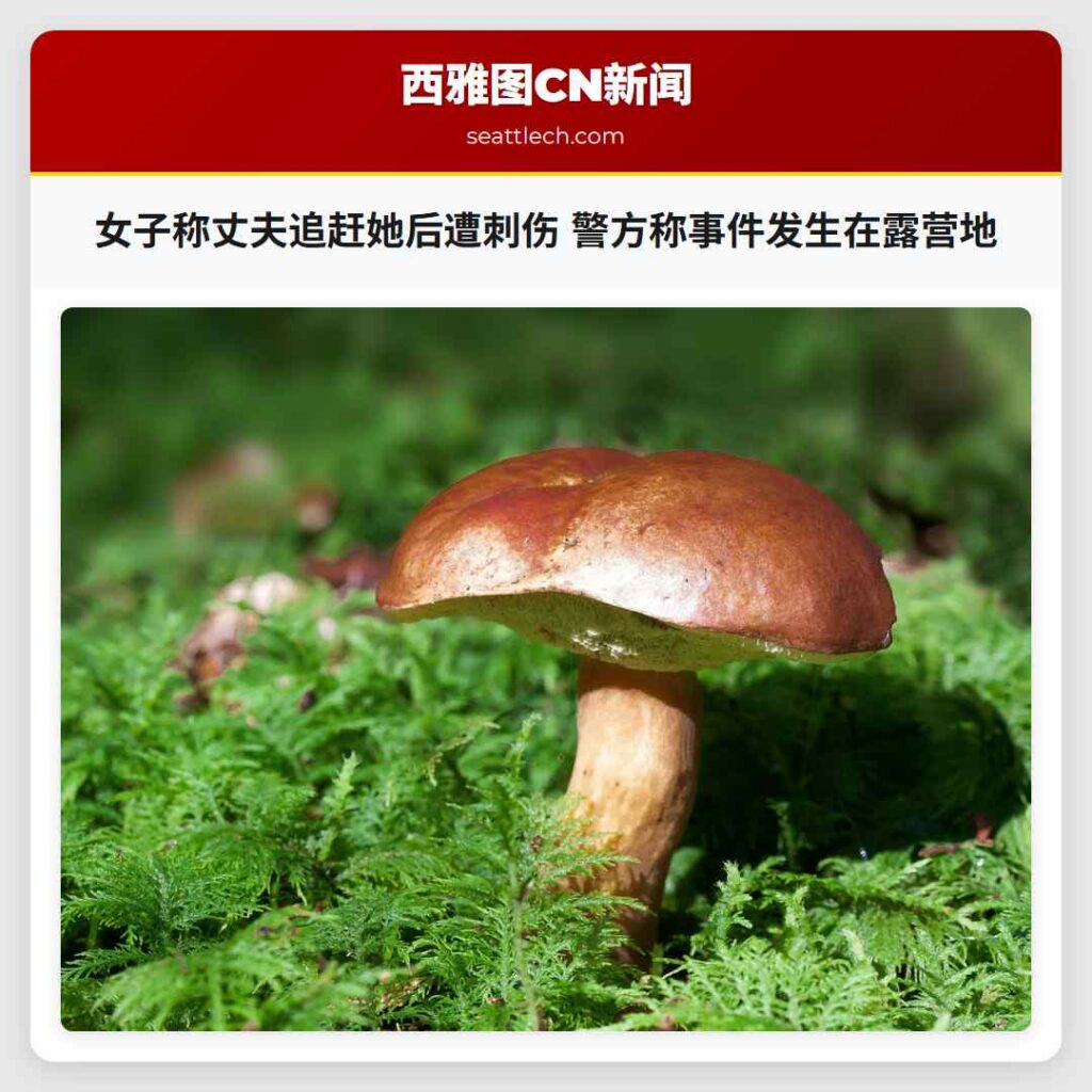 女子称丈夫追赶她后遭刺伤 警方称事件发生在露营地