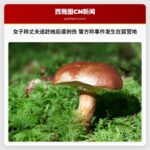 女子称丈夫追赶她后遭刺伤 警方称事件发生在露营地