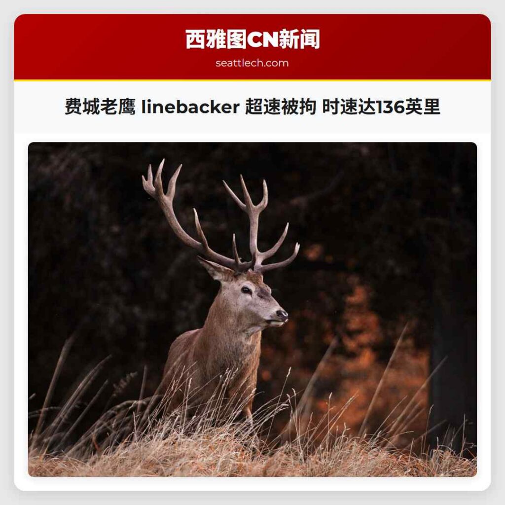费城老鹰 linebacker 超速被拘 时速达136英里