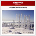 华盛顿州查获非法捕捞牡蛎团伙