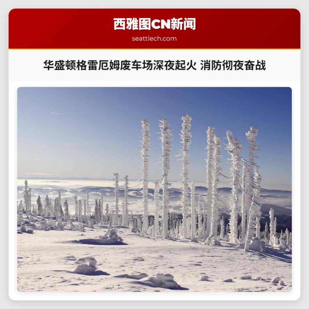 华盛顿格雷厄姆废车场深夜起火 消防彻夜奋战